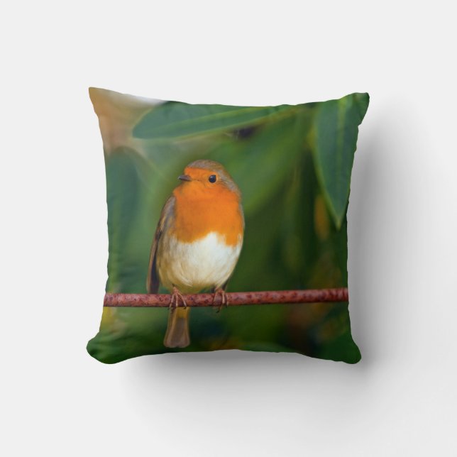 Robin bird cushion (Front)