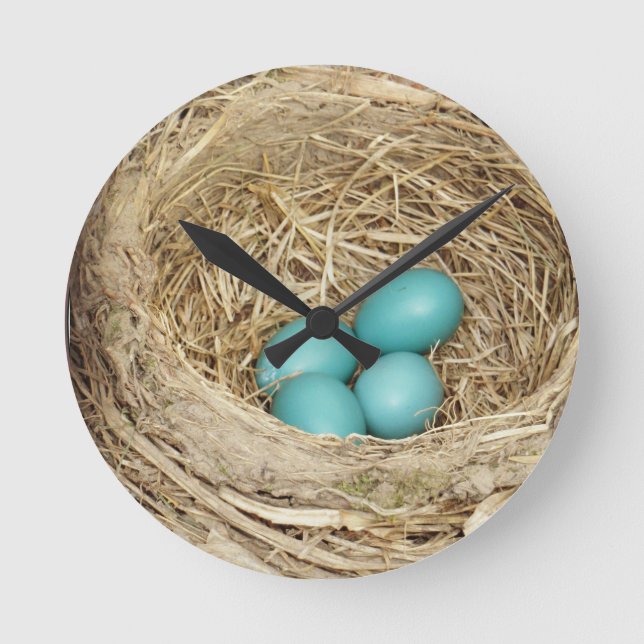 Robin Bird Egg Nest Round Clock (Front)