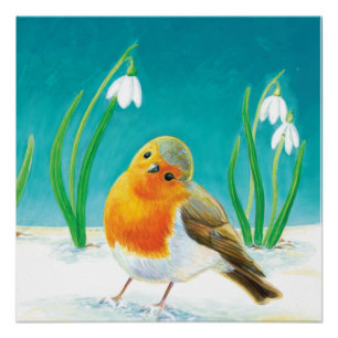 Robin Bird - Erithacus rubecula Poster