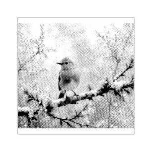 Robin Bird in a snowy tree Rubber Stamp