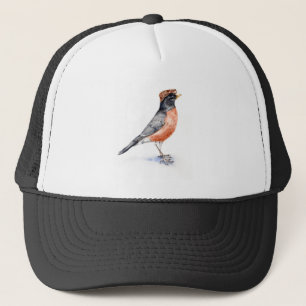Robin Bird in Hat