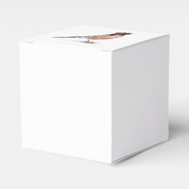 Robin Bird in Hat Favour Box (Front Side)