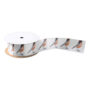 Robin Bird in Hat Satin Ribbon
