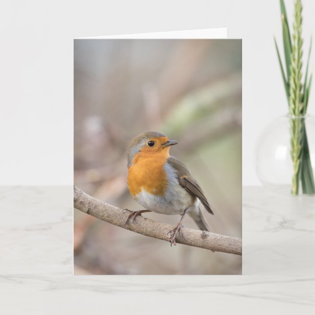 Robin Bird Nature Photo Card (Front)