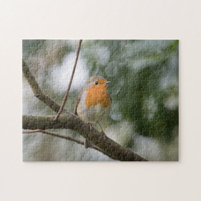 Robin Bird Nature Photo Jigsaw Puzzle (Horizontal)