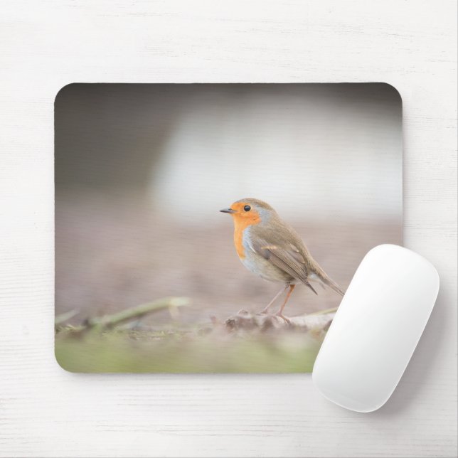 Robin Bird Nature Photo Mouse Pad (With Mouse)