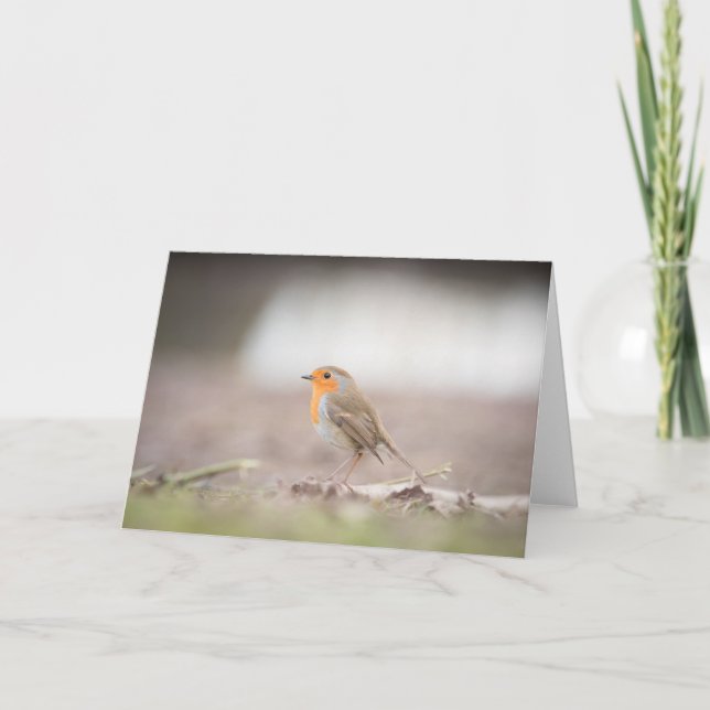 Robin Bird Nature Photograph Card (Front)