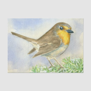 Robin bird on a frosted juniper branch tissue paper