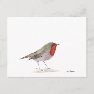 Robin bird postcard