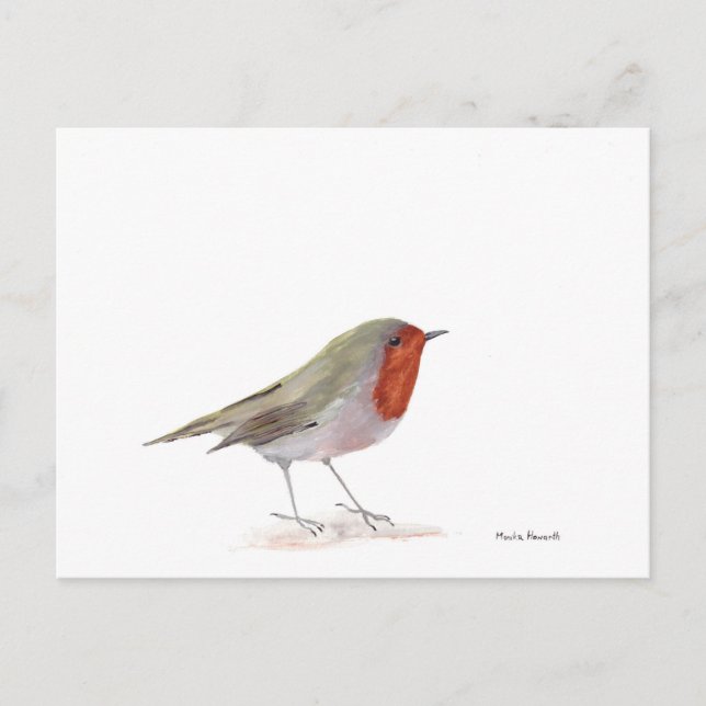 Robin bird postcard (Front)