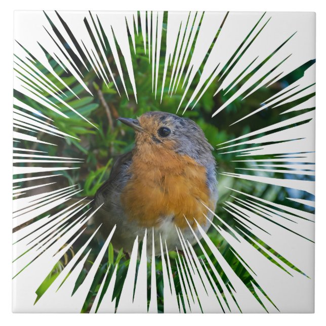 Robin bird view ceramic tile (Front)