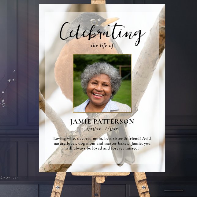 Robin Bird Watcher, Celebration of  Life Photo Poster (Creator Uploaded)