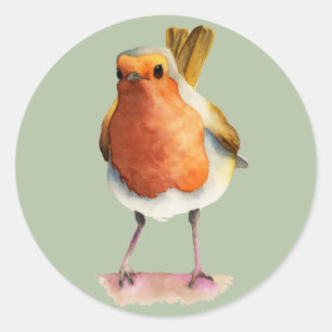 Robin Bird Watercolor Painting Classic Round Sticker