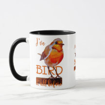 Robin Bird with all the ornamental quotation