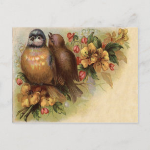 Robin Bird Yellow Red Flower Postcard