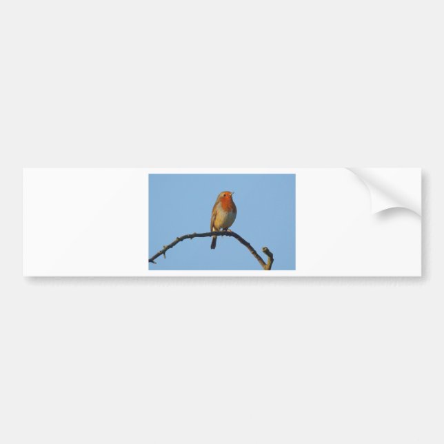 Robin Bumper Sticker (Front)