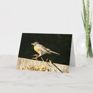 Robin Card
