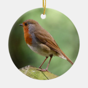 Robin Ceramic Decoration