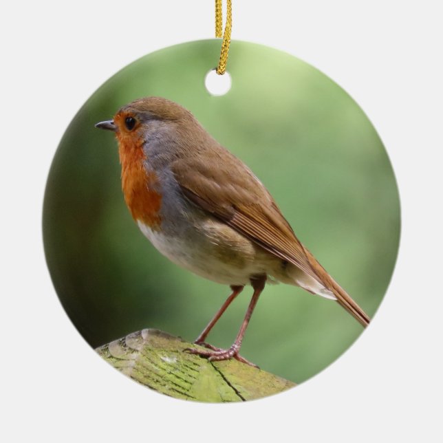 Robin Ceramic Decoration (Front)