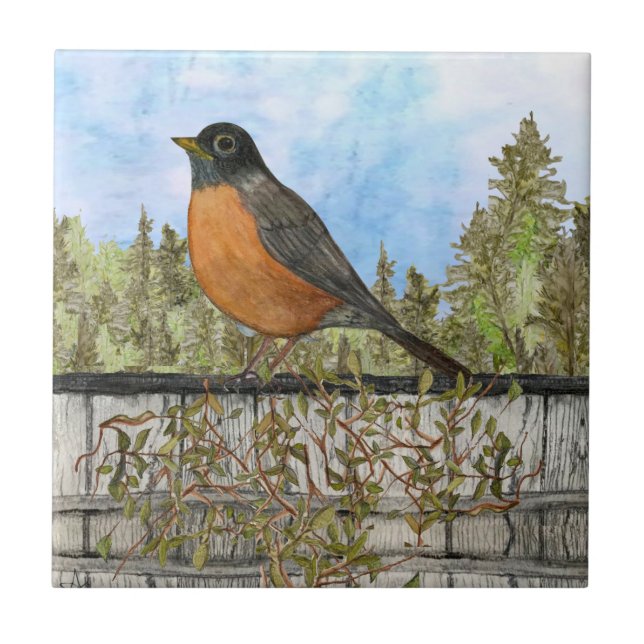 Robin Ceramic Kitchen Tile (Front)