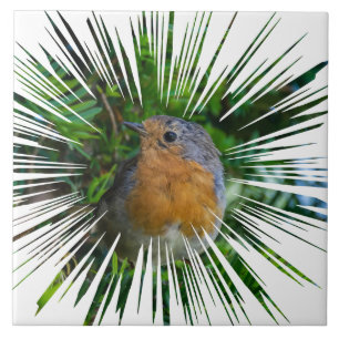 Robin ceramic tile