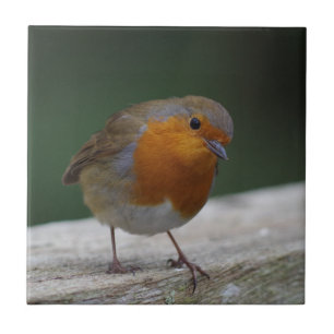 Robin Ceramic Tile