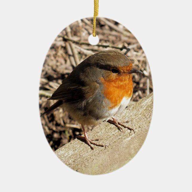 ROBIN CERAMIC TREE DECORATION (Front)