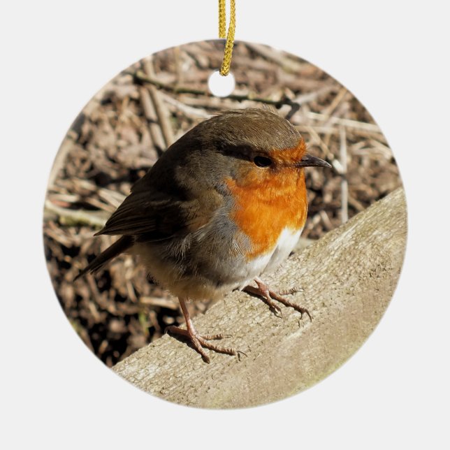 ROBIN CERAMIC TREE DECORATION (Front)