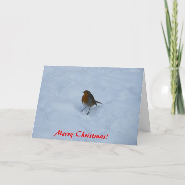Robin Christmas Cards (Front)