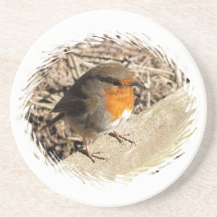 ROBIN COASTER