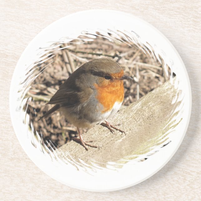ROBIN COASTER (Front)