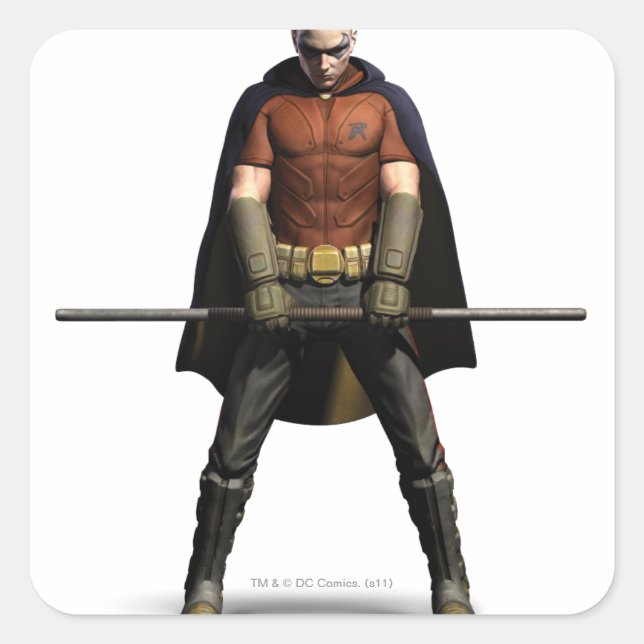 Robin Colour Square Sticker (Front)