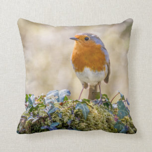 Robin cushion featuring two beautiful photographs