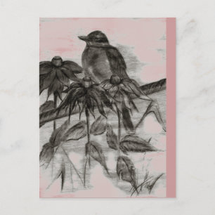 Robin Dusk Postcard