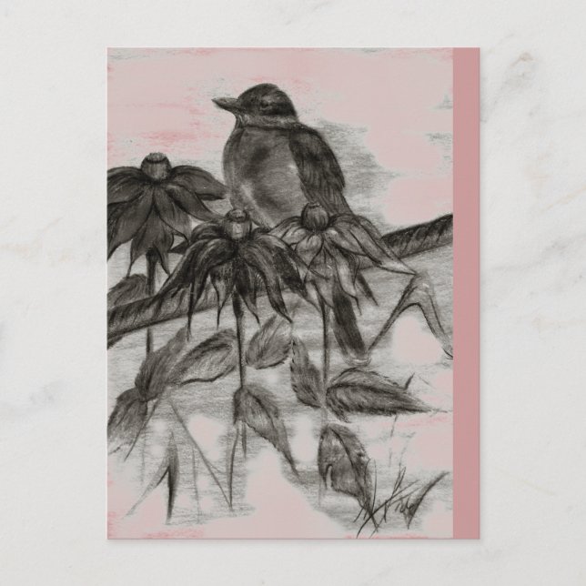 Robin Dusk Postcard (Front)