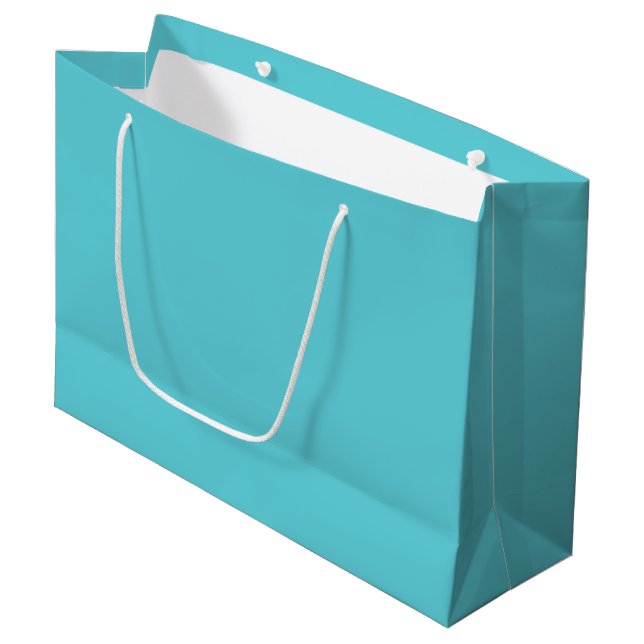 Robin Egg Blue Large Gift Bag (Front Angled)