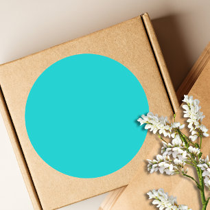 Robin Egg Blue Solid Colour   Classic   Elegant Round Sticker