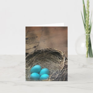 Robin Eggs Blank Note Card