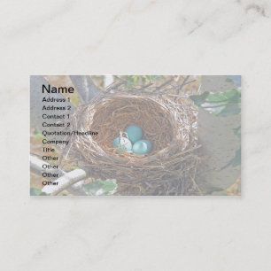 Robin Eggs in a Backyard Tree Nest Business Card