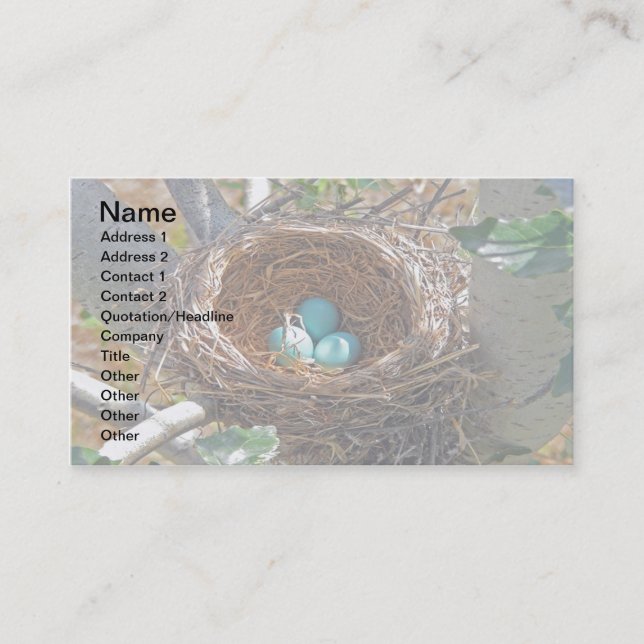 Robin Eggs in a Backyard Tree Nest Business Card (Front)