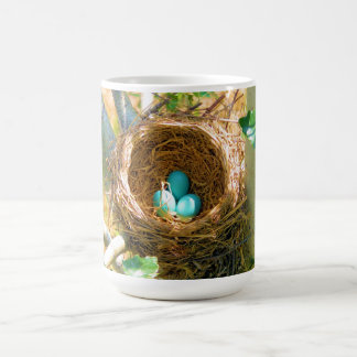 Robin eggs unhatched in a backyard tree nest coffee mug