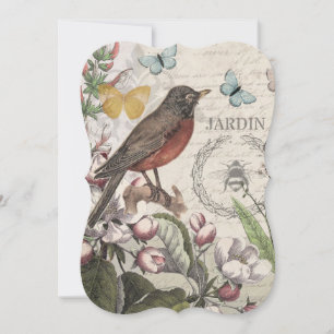 Robin Elegant Bird Butterfly French Art