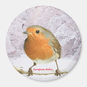Robin image for Large Round Magnet