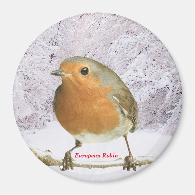 Robin image for Large Round Magnet (Front)