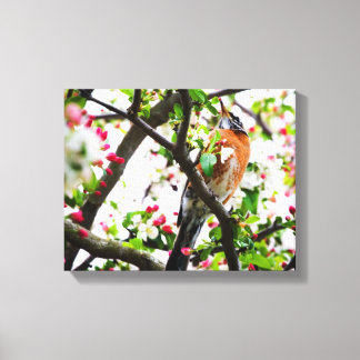 Robin in Blooming Crabapple Tree Print Canvas