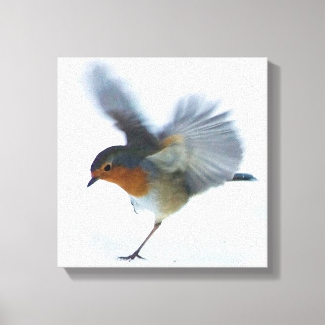 Robin in Flight Canvas Print (Front)