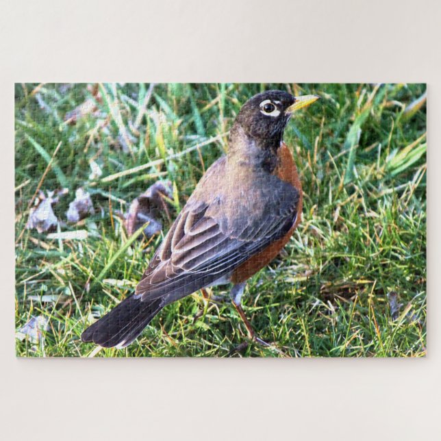 Robin in Grass Jigsaw Puzzle (Horizontal)