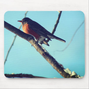 Robin In Snow Wildlife Nature Mouse Pad