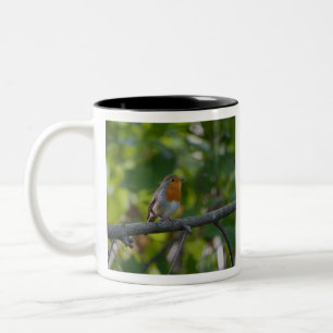 Robin in spiring. Two-Tone coffee mug