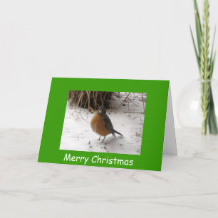 Robin in the Snow, Merry Christmas Holiday Card